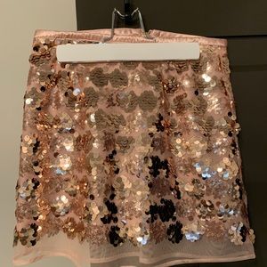 Sequins Skirt